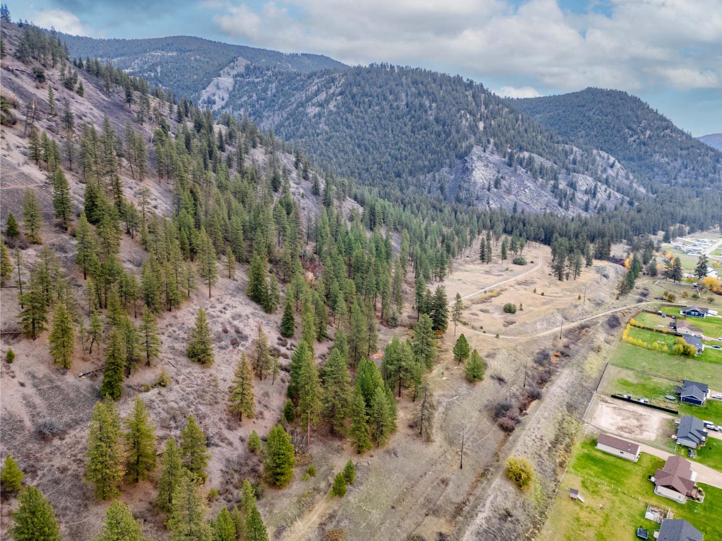 WIlco Missoula Sautbine Drone-08