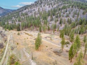 WIlco Missoula Sautbine Drone-11