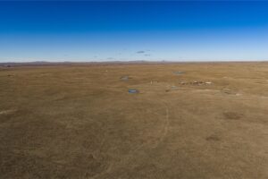 Wilco Land (Newell) 002