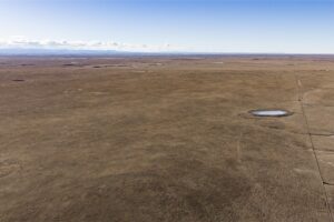 Wilco Land (Newell) 005