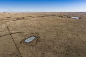 Wilco Land (Newell) 008