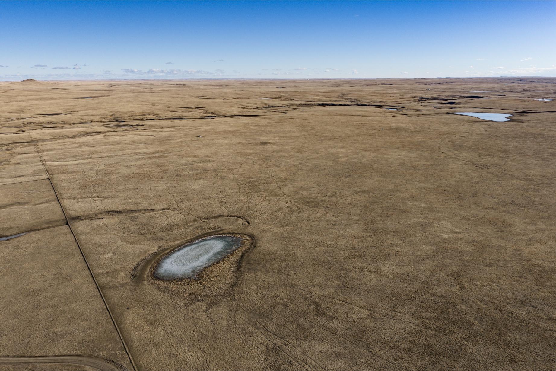 Wilco Land (Newell) 008