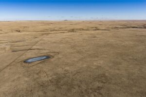 Wilco Land (Newell) 010