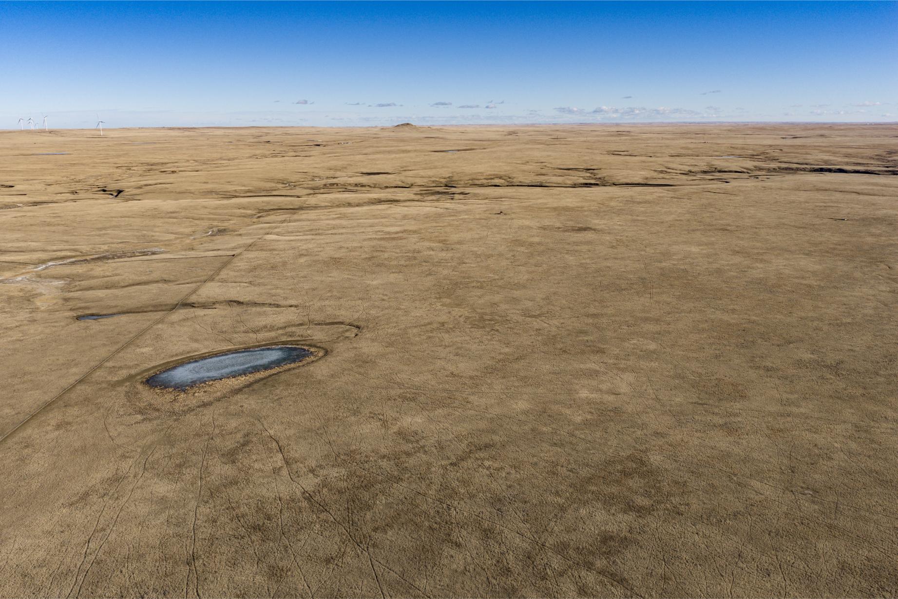 Wilco Land (Newell) 010