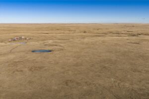 Wilco Land (Newell) 011