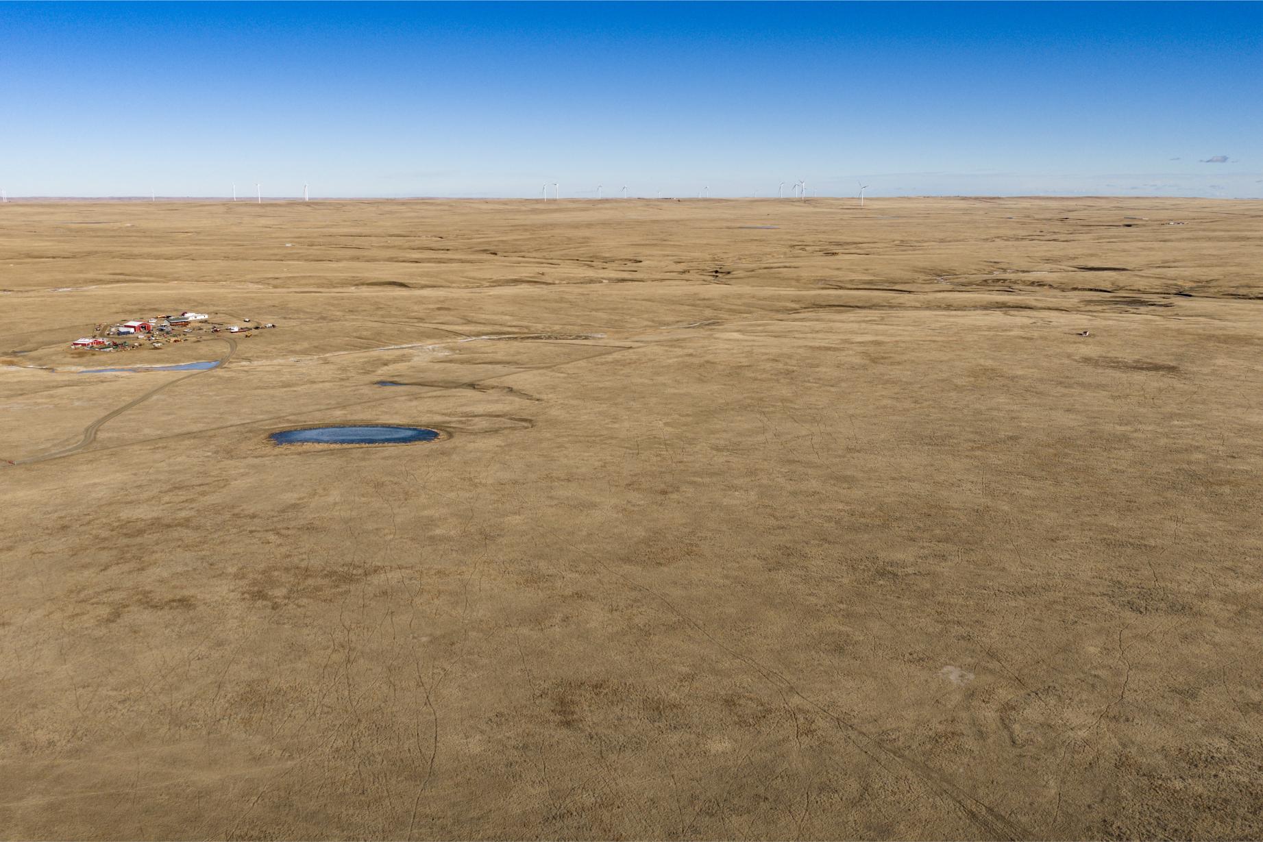 Wilco Land (Newell) 011