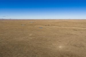 Wilco Land (Newell) 015