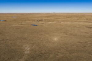 Wilco Land (Newell) 020