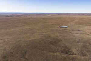 Wilco Land (Newell) 025