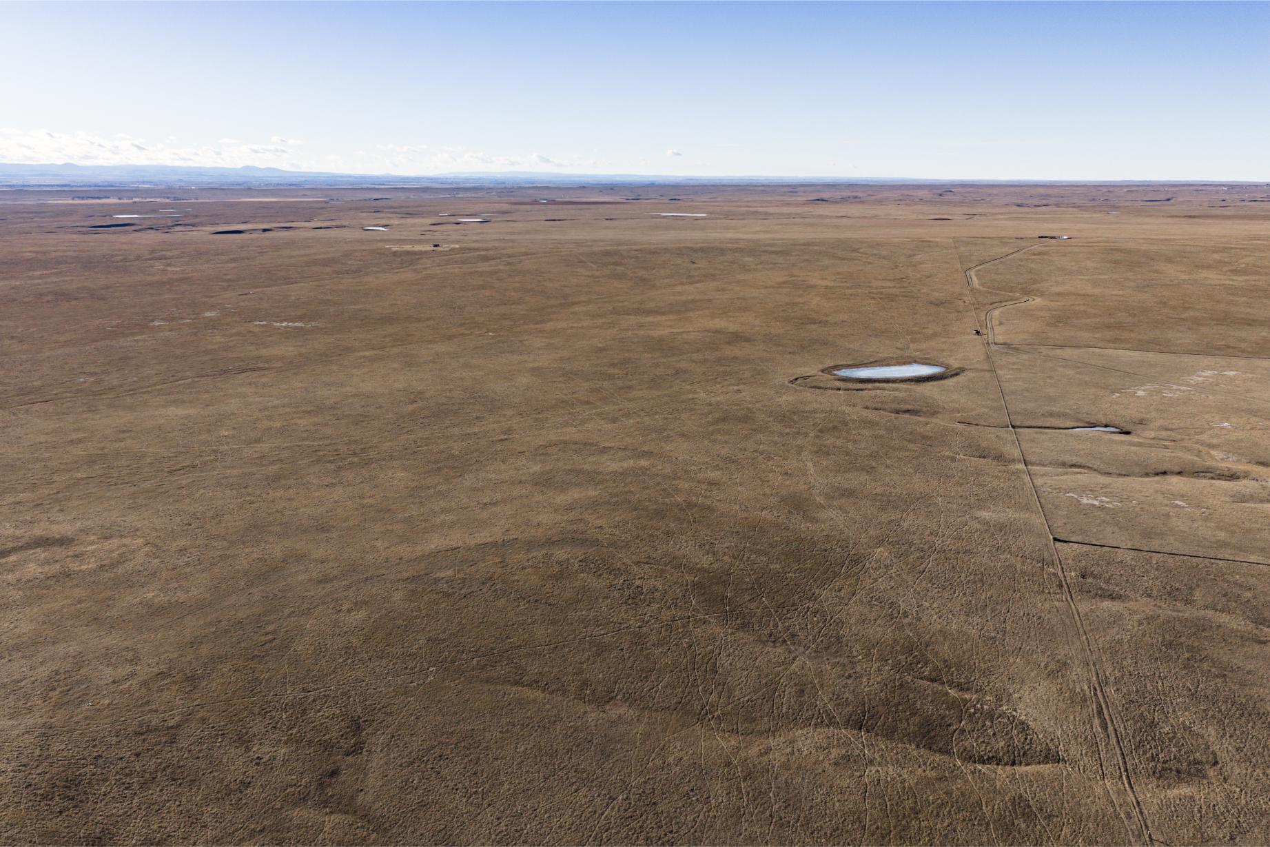 Wilco Land (Newell) 025