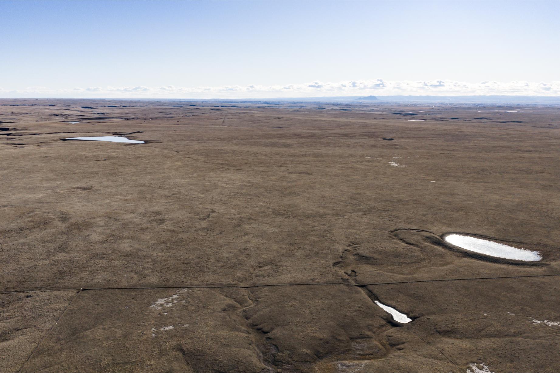 Wilco Land (Newell) 029