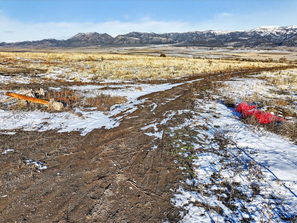 16-web-or-mls-Audrey Wilco Land LLC 016