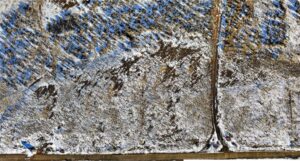 21-web-or-mls-Audrey Wilco Land LLC 021