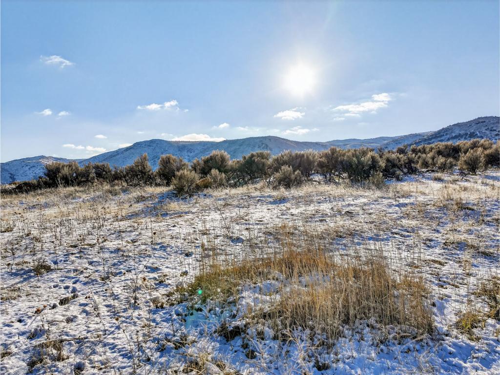 3-web-or-mls-Audrey Wilco Land LLC 003