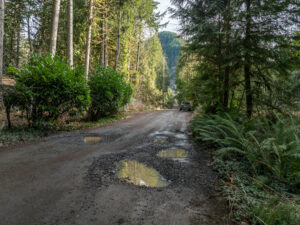 DJI_0582