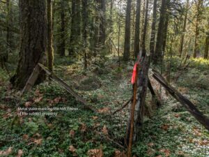 DJI_0667-Edit