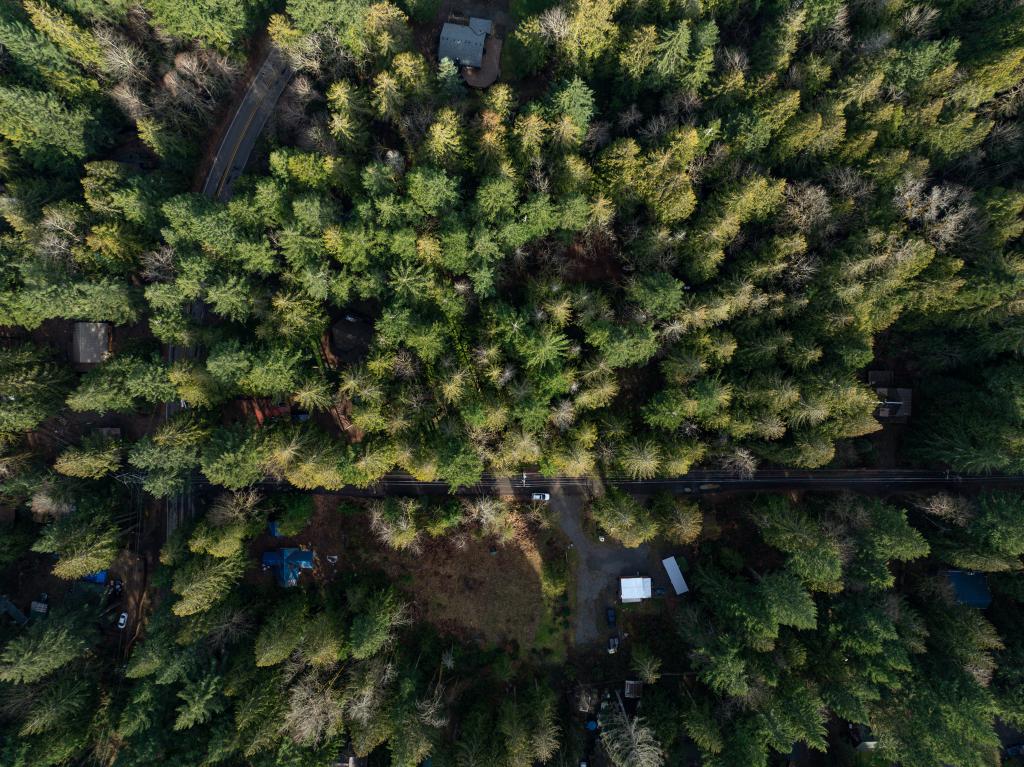 DJI_0698