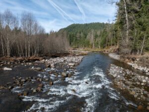 DJI_0779