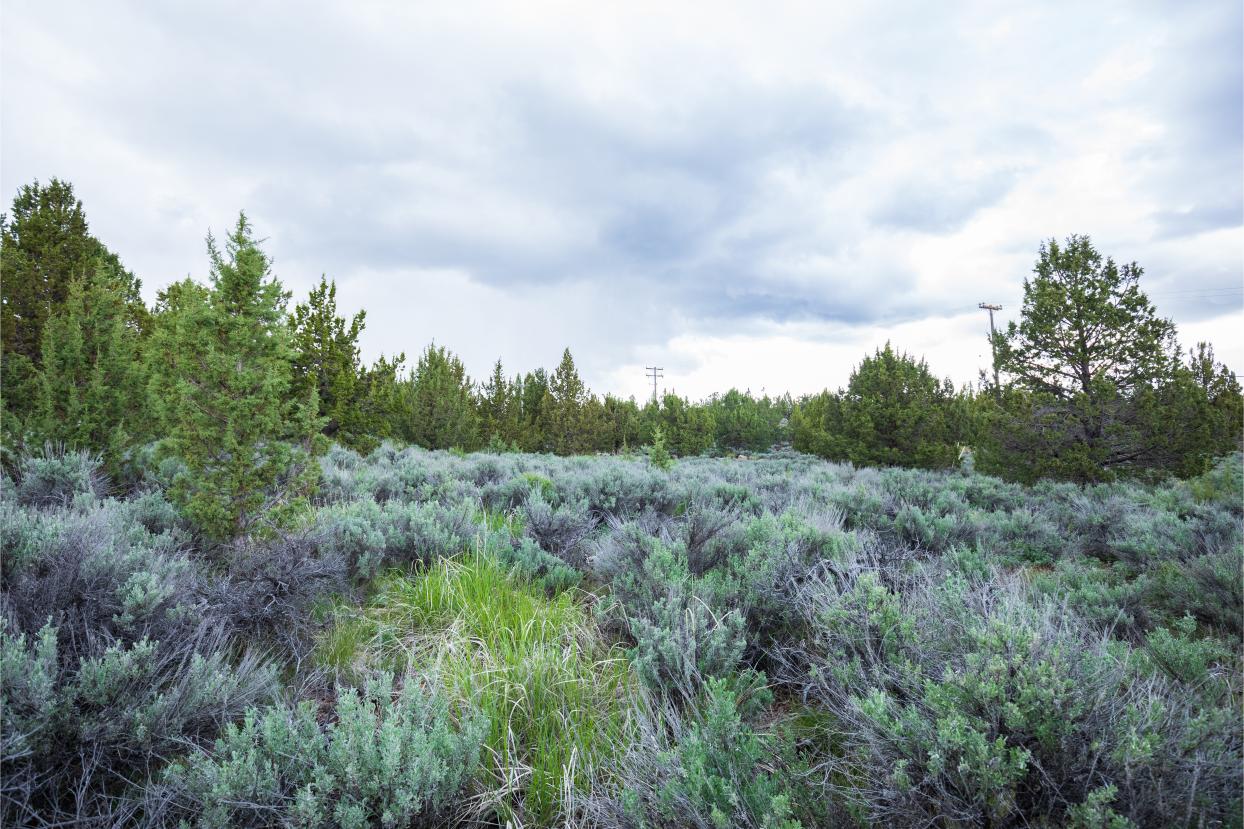 Eagle Lake 11