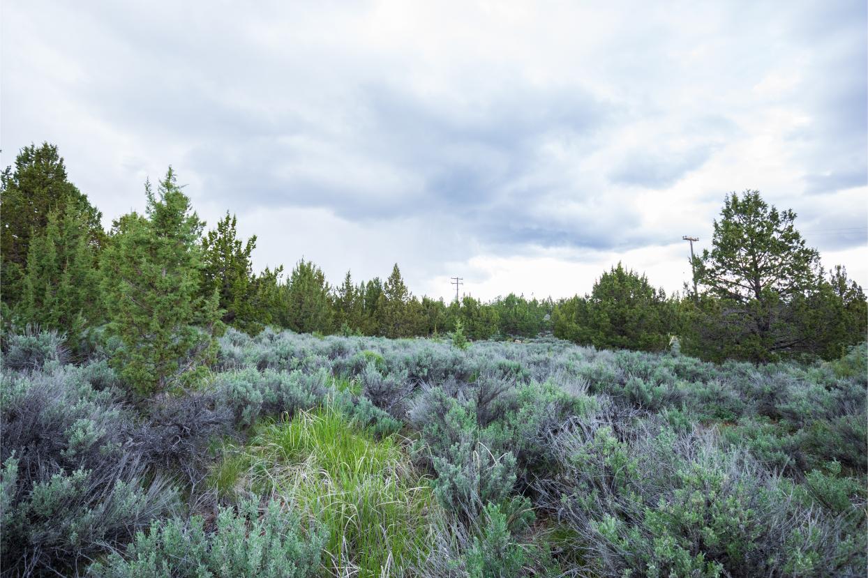 Eagle Lake 13