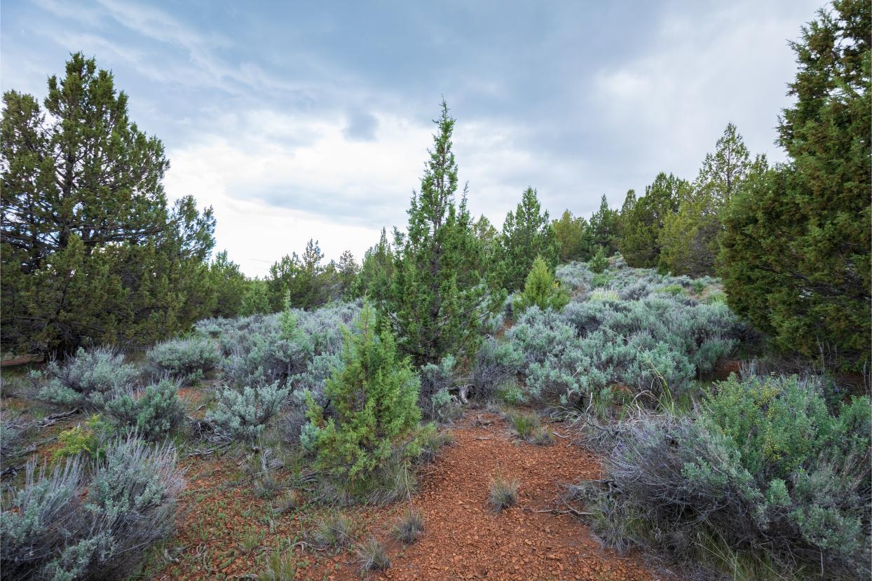 Eagle Lake 14