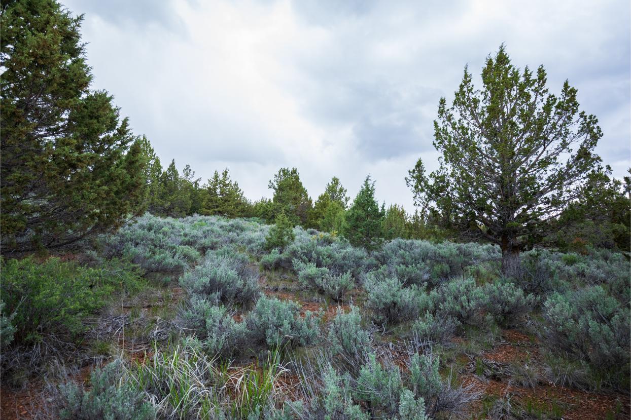 Eagle Lake 16