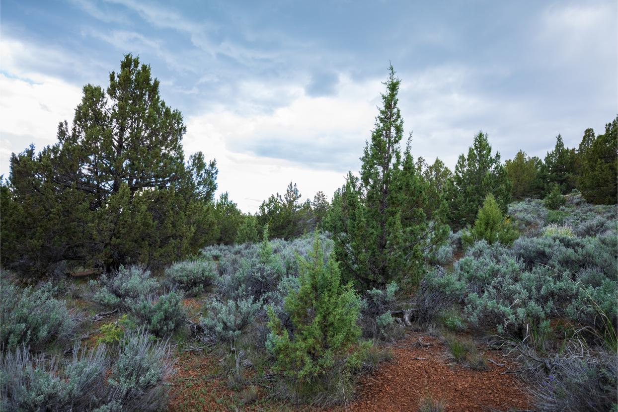 Eagle Lake 17