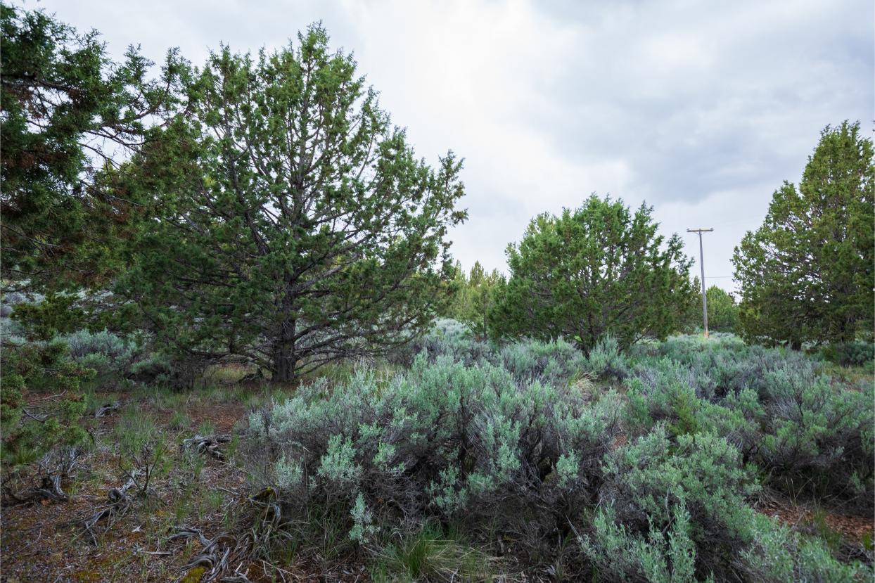 Eagle Lake 18