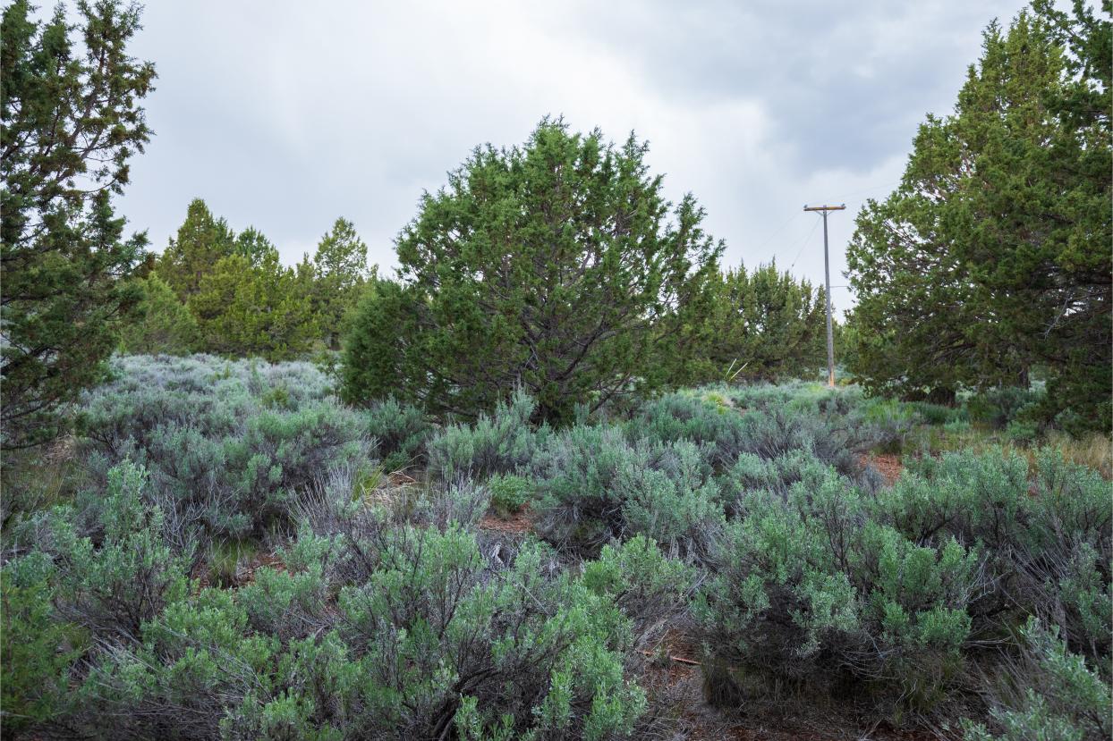 Eagle Lake 19