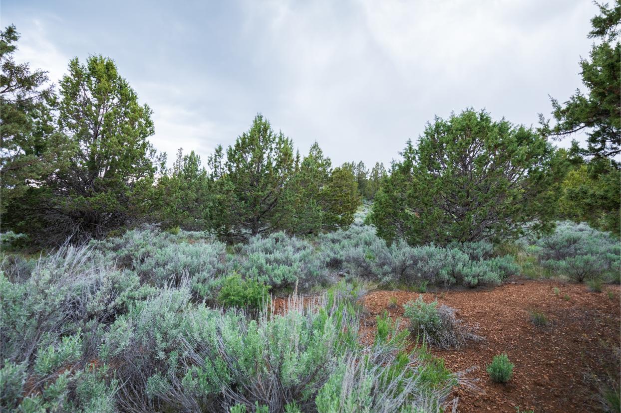 Eagle Lake 20