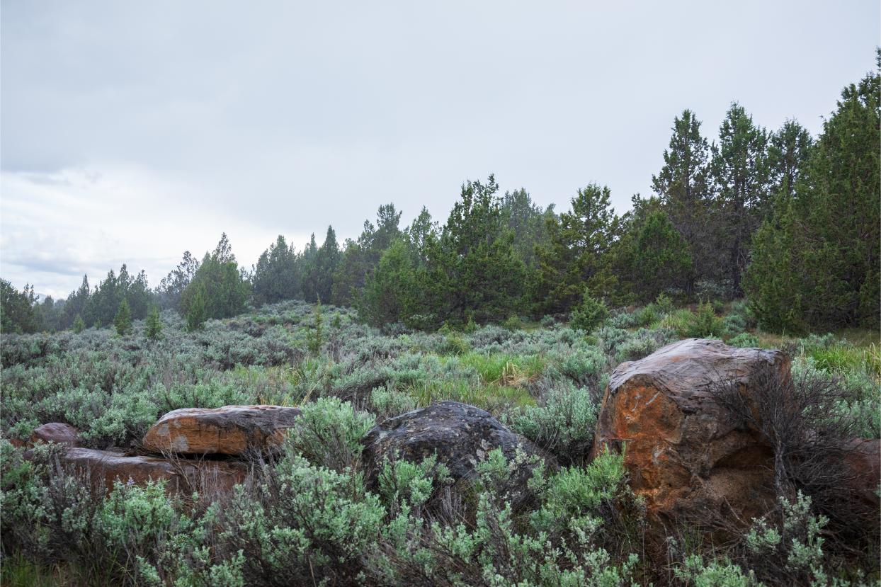 Eagle Lake 29