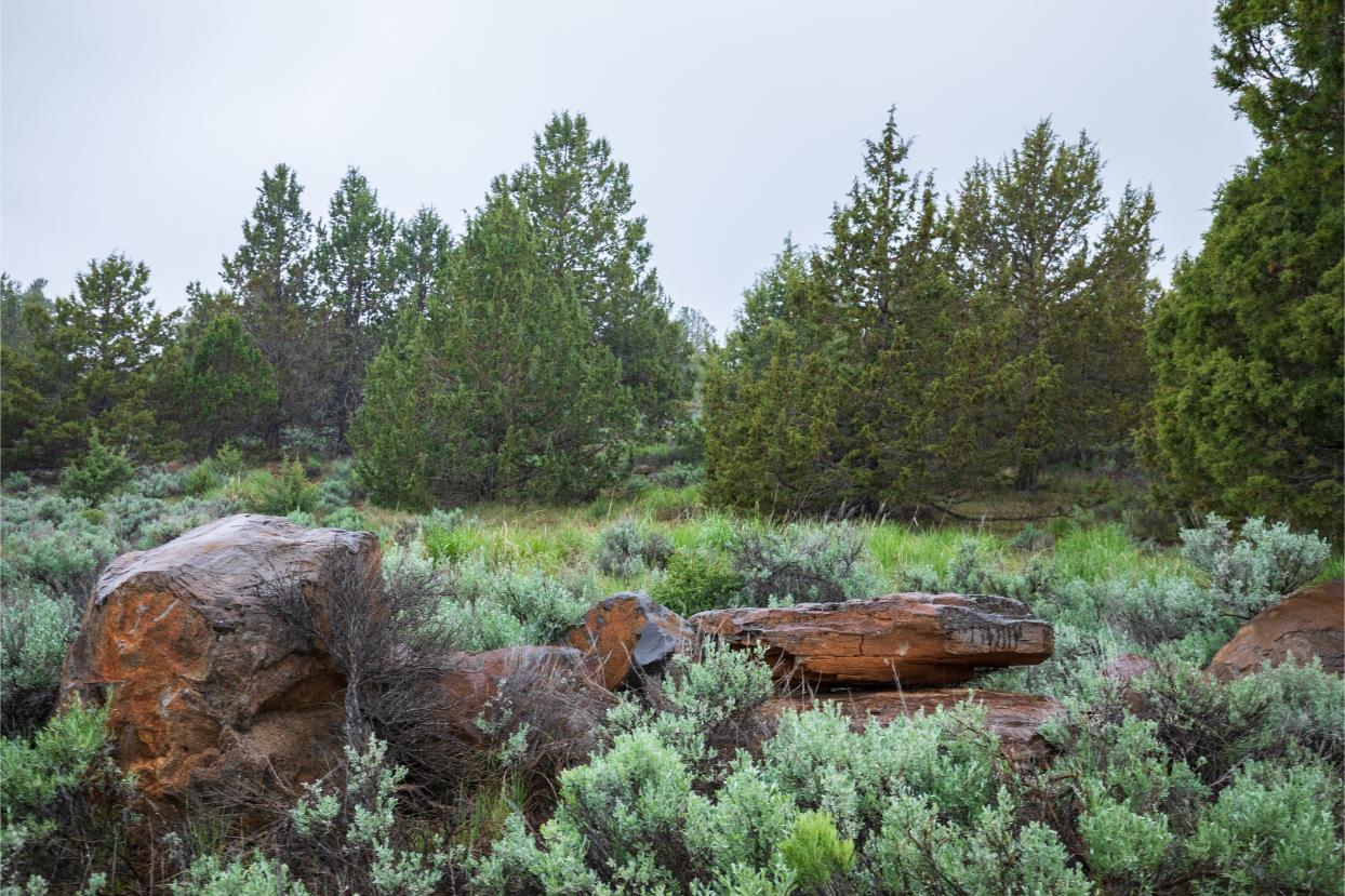 Eagle Lake 30