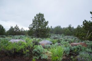 Eagle Lake 32