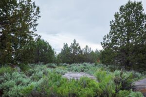 Eagle Lake 33