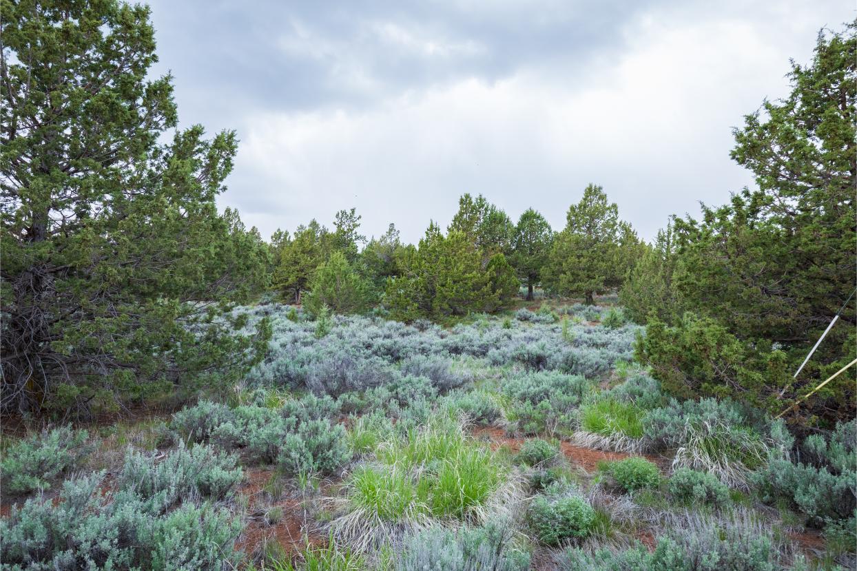 Eagle Lake 4