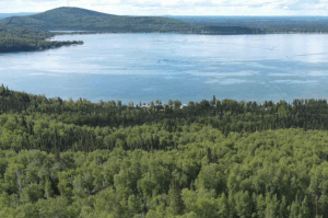 Screenshot 2026-02-03 at 11.39.55 PM