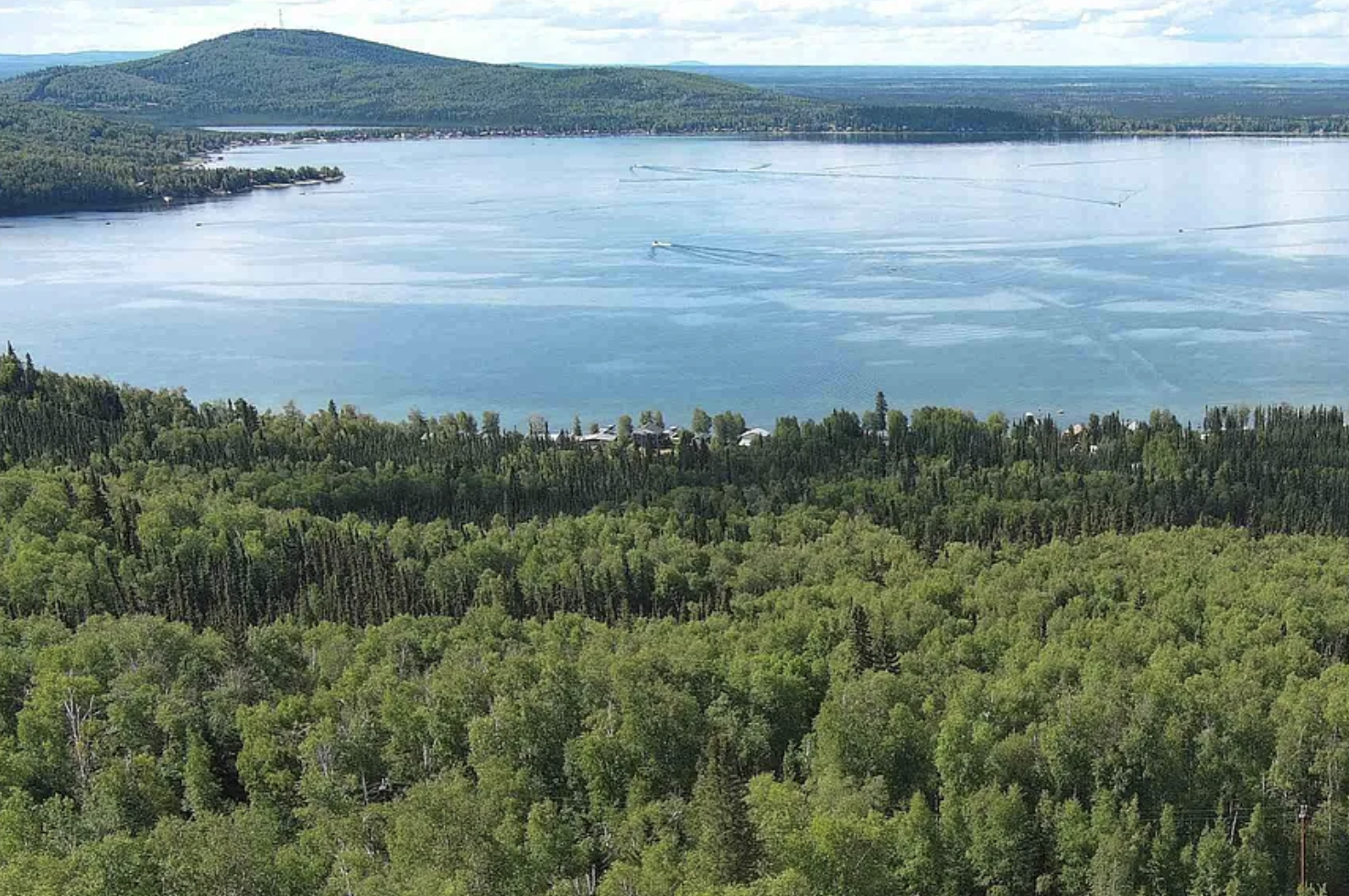 Screenshot 2026-02-03 at 11.39.55 PM