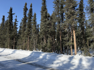 Screenshot 2026-04-09 at 12.30.39 AM