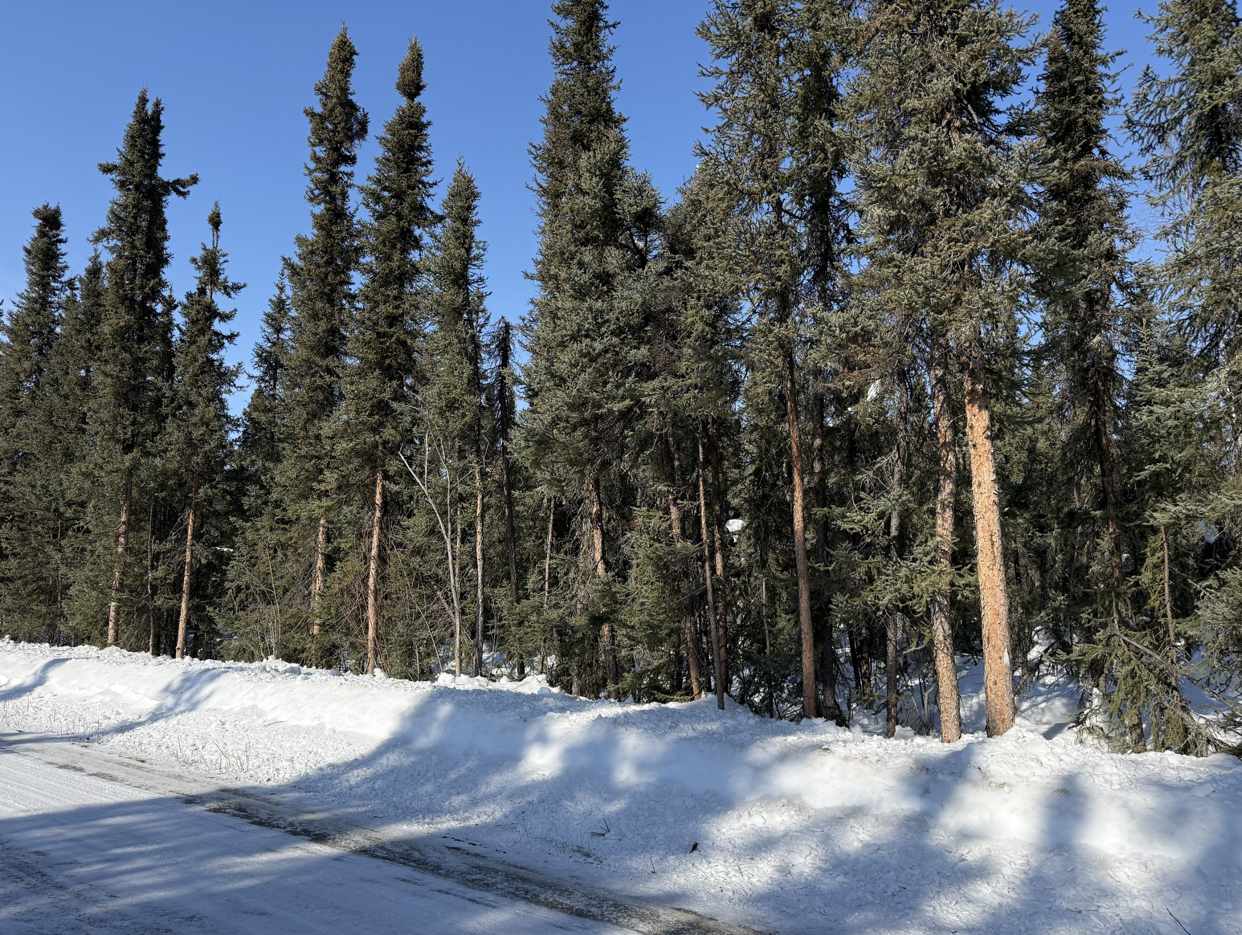 Screenshot 2026-04-09 at 12.30.39 AM