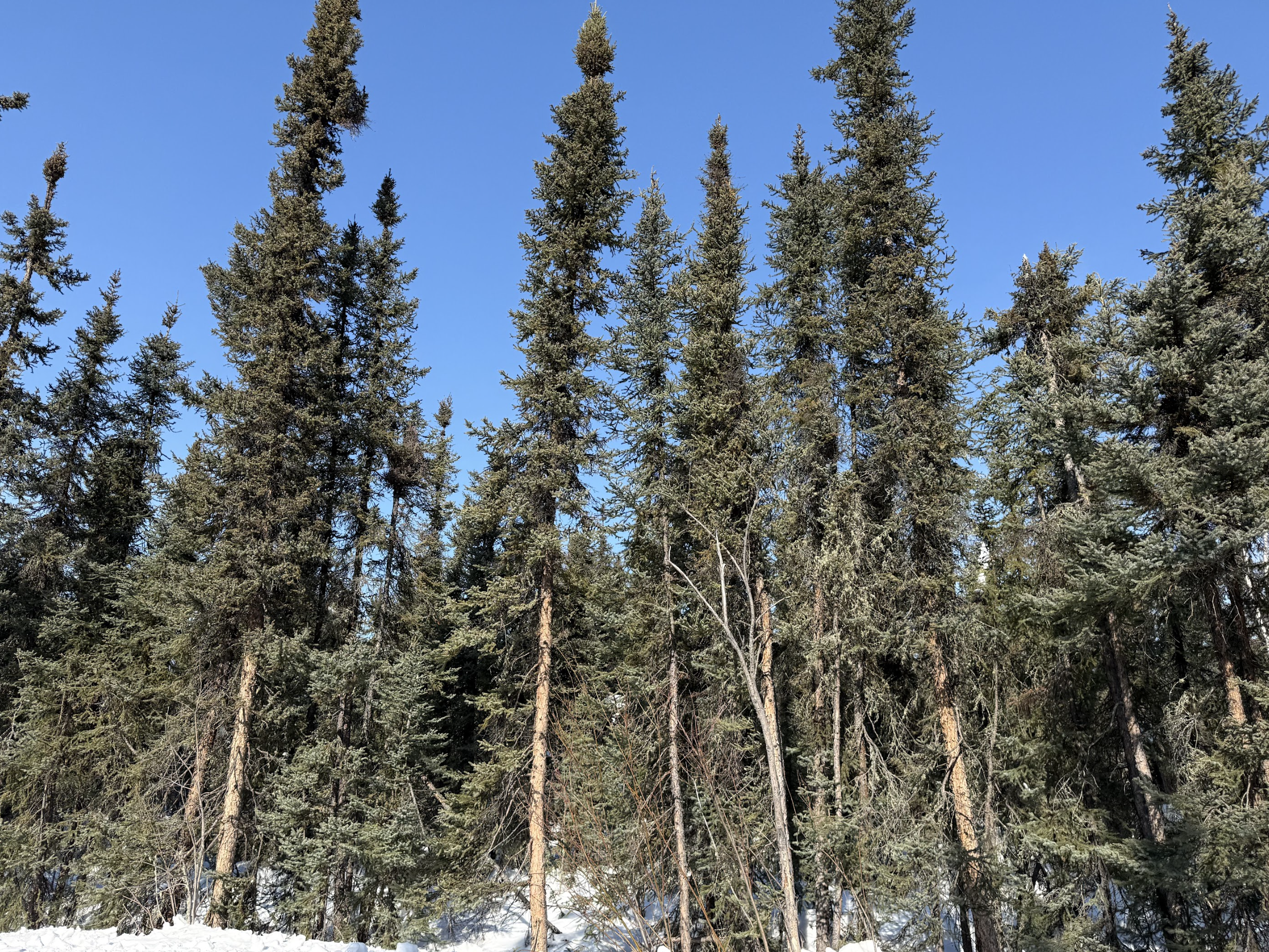 Screenshot 2026-04-09 at 12.30.48 AM