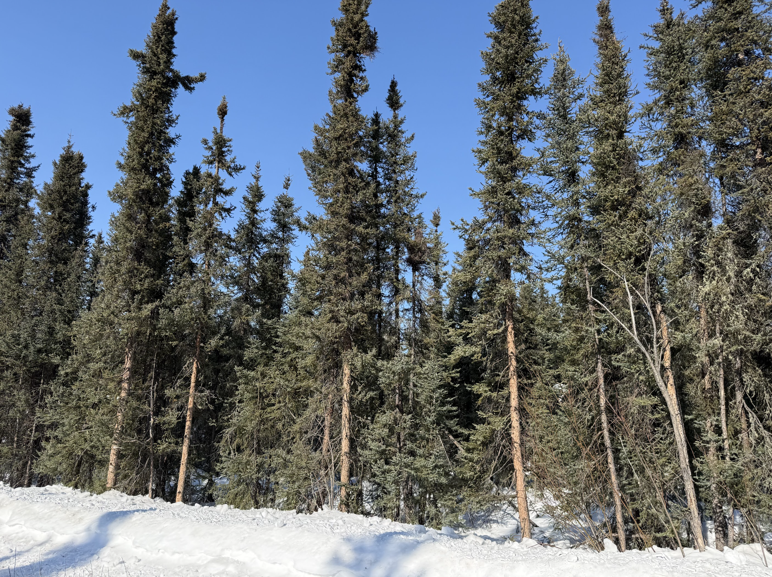 Screenshot 2026-04-09 at 12.30.58 AM