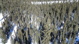 Screenshot 2026-04-09 at 12.31.07 AM