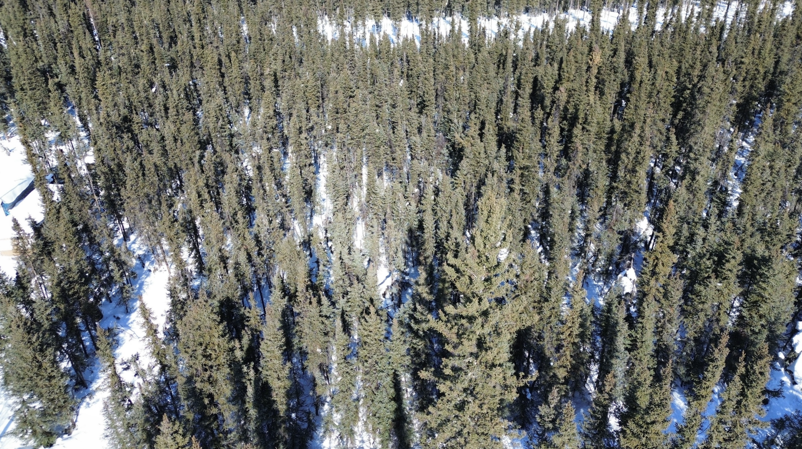 Screenshot 2026-04-09 at 12.31.07 AM