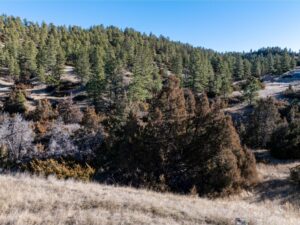 Shot-39