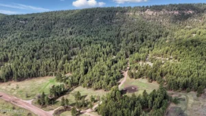 0ef05c7b7c8dd3e19fe02ba674115533-uncropped_scaled_within_1536_1152