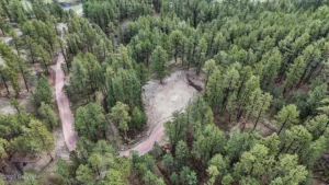 1028ed4e8d1657fde08b6e8ded38a2bb-uncropped_scaled_within_1536_1152