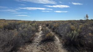 16) ground view of dirt path leading to property