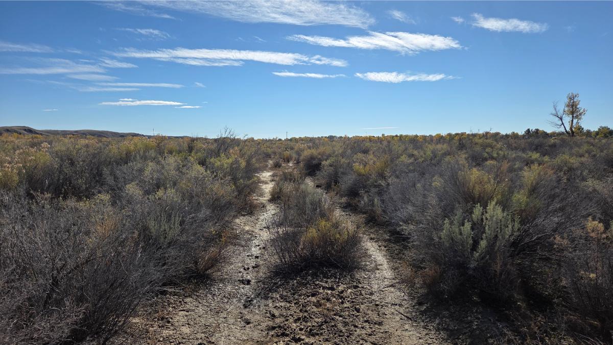 16) ground view of dirt path leading to property