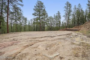 2a091a1e6849839e7cf25715273417b6-uncropped_scaled_within_1536_1152