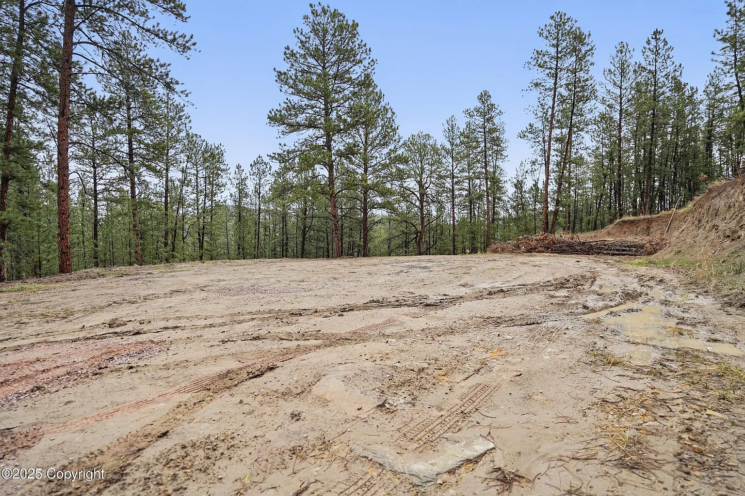 2a091a1e6849839e7cf25715273417b6-uncropped_scaled_within_1536_1152